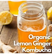 *Kombucha - LEMON GINGER - 350ml (by Satva Farm)